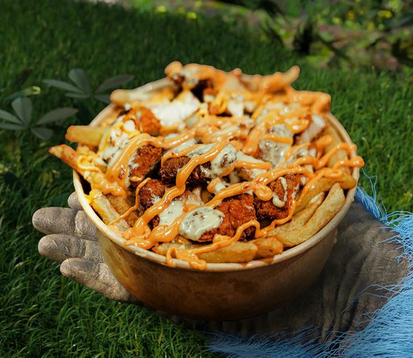Samurai Loaded Fries